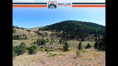 Colorado mountain Land for sale 0.56 acres