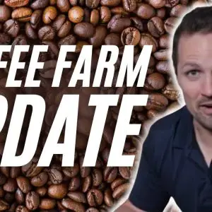Panama Coffee Farm Update: Is it making any money yet?
