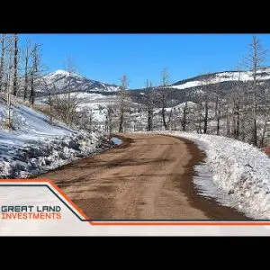 3.56 Acres Land for sale in Forbes Park Colorado in the mountains with trees with owner financing