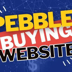 Pebble Review: How to Build a Land Buying Website With REI Landleads